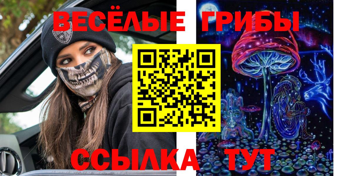 Шахты  Галлюциногенные грибы GOLDEN TEACHER  Вход с VPN 