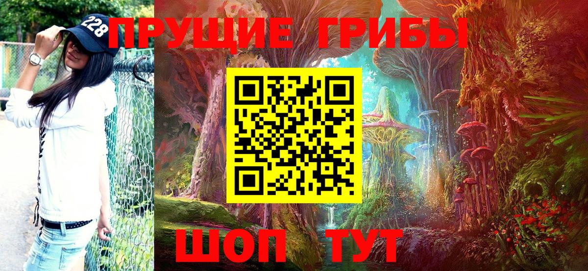 Псилоцибиновые грибы прущие грибы Шахты
